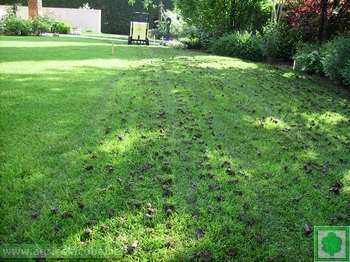 terreno argilloso carotato terreno argilloso carotato